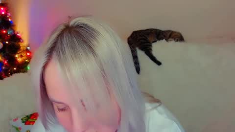 hi glad to chat online show from December 2024 07:52:02 PM