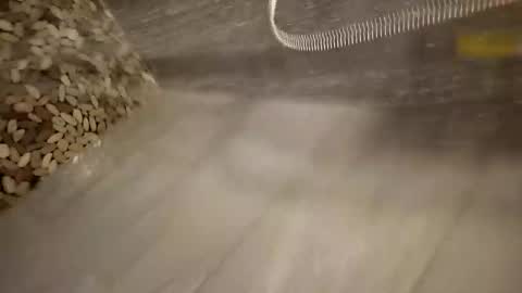 notme710 online show from March 2026 11:46:02 AM