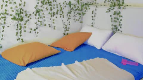 Nova online show from November 2025 09:14:02 AM