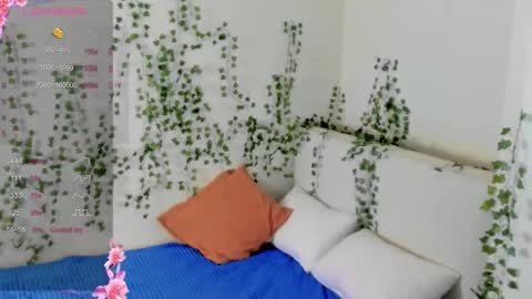 Nova online show from November 2025 07:42:02 AM