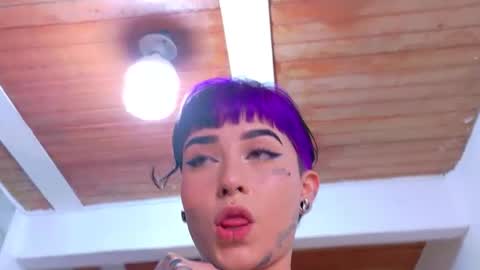 Nova kitty tx online show from April 2026 10:54:02 PM