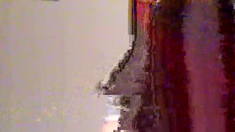Snapshot of novahexx chatting on April 2026 01:22:02 AM novahexx online show from April 2026 01:22:02 AM