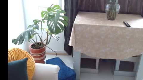 novaperotti online show from November 2025 06:41:04 PM