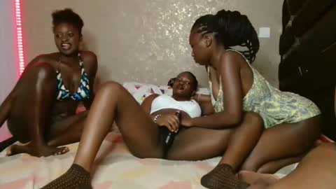 Novi online show from November 2025 04:55:01 PM