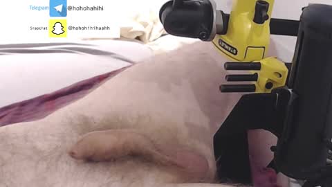 nuche99 online show from November 2025 06:21:01 PM