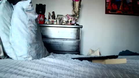 KN online show from February 2026 05:19:02 PM