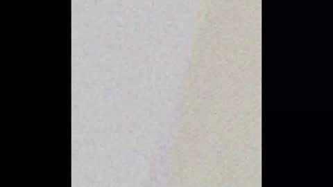 Snapshot of nycsupplier chatting on February 2026 01:12:02 PM nycsupplier online show from February 2026 01:12:02 PM