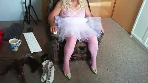 Strumpfhose online show from October 2025 11:31:02 AM