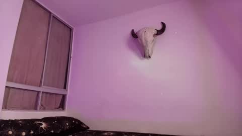 nyx murtualer online show from February 2026 12:00:02 AM