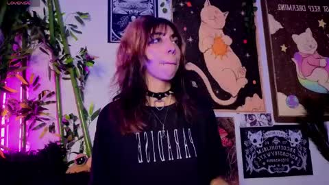   online show from March 2026 06:17:02 AM