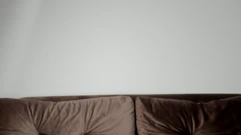 o_r_b_i_t online show from January 2025 02:15:02 PM