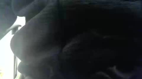 obahiro823844 online show from December 2025 12:55:01 PM