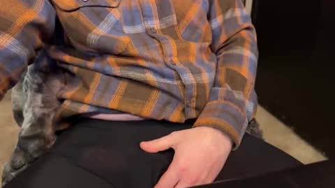 object36 online show from December 2024 05:44:02 PM