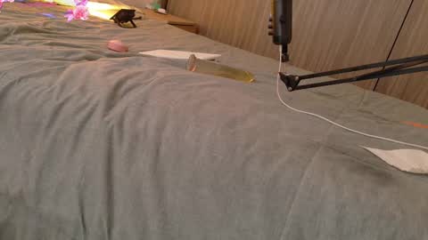 Your Ocean baby 3 online show from February 2025 01:09:02 PM