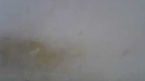 Paloma online show from May 2026 06:23:02 PM