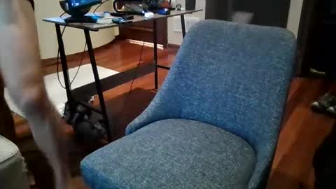 Snapshot of octobersky1993 chatting on December 2024 02:49:01 PM Sky online show from December 2024 02:49:01 PM