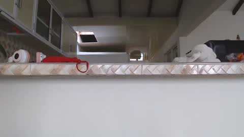 Val online show from January 2025 10:22:01 PM