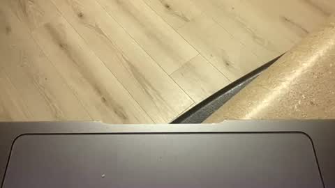 ofthatguy online show from October 2025 02:30:02 AM