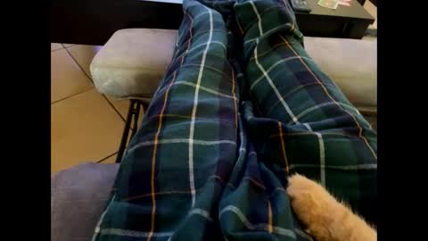 oggs48 online show from October 2025 12:09:01 PM