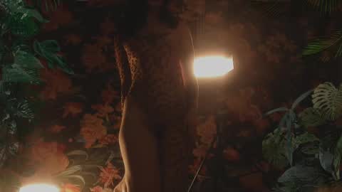 your dear Lilith Chapman online show from February 2025 11:09:02 PM