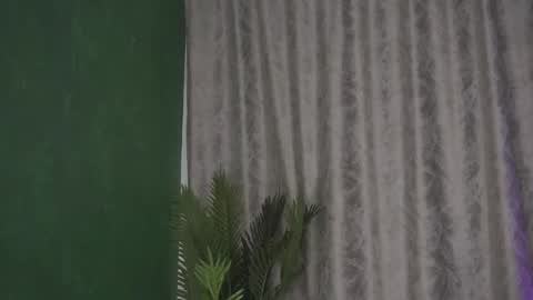 Julia online show from February 2025 08:21:01 AM