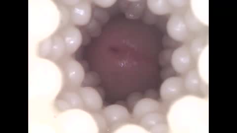 ohioguy4201985 online show from April 2026 09:48:02 PM