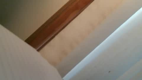 olddognewtrickss online show from September 2025 08:42:02 PM