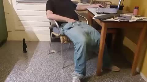 oldersagger online show from January 2025 07:05:01 PM