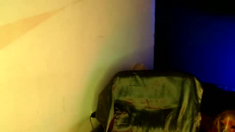 oliver_laid_2023 online show from January 2025 05:48:01 PM