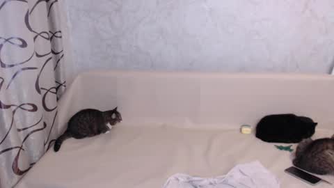 Olivia online show from November 2025 04:25:02 AM