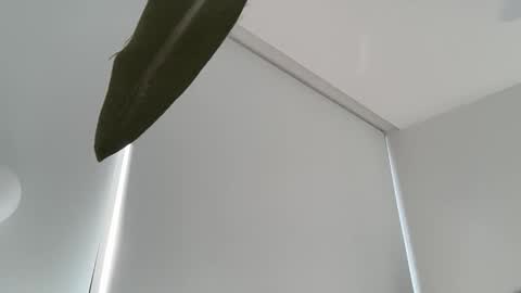 Olivia Brookes online show from December 2025 07:55:01 PM