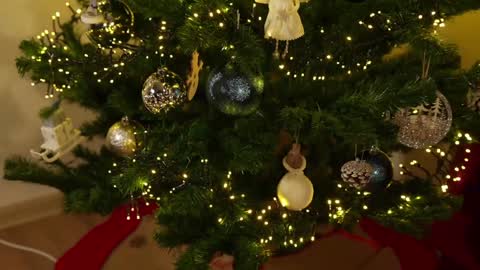    or    online show from December 2024 09:56:01 PM