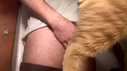 onedayonedollar online show from February 2025 12:34:02 PM