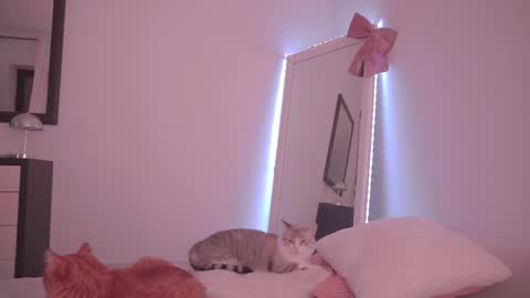 Ariel online show from February 2026 10:27:01 PM