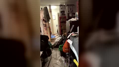 TsJojo online show from February 2026 11:24:01 AM