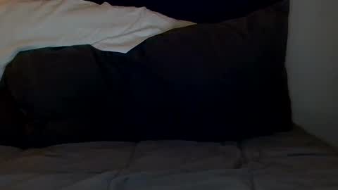 open_torequest online show from September 2025 09:55:02 AM