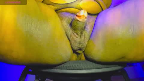 OpraxBell online show from September 2025 03:42:02 AM