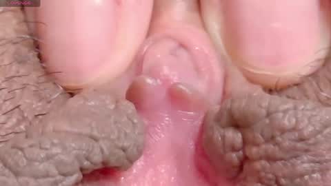 orchidekitty online show from April 2026 08:20:02 PM