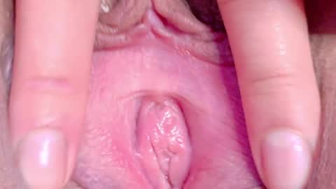 orchidekitty online show from May 2026 11:14:02 PM