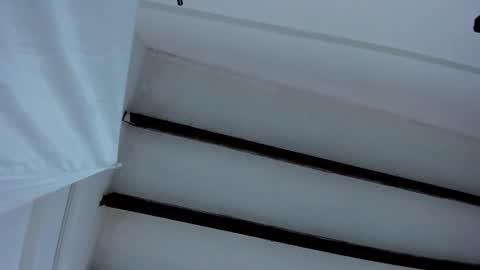 Snapshot of oriana_guzman chatting on January 2025 12:48:01 PM Miss Guzman online show from January 2025 12:48:01 PM