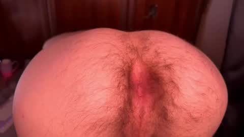 origamicat online show from October 2025 11:05:01 PM