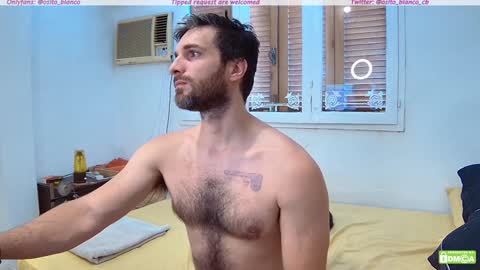 Osito Blanco online show from January 2025 03:47:01 PM