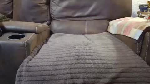 outdoorsmanmark71 online show from September 2025 09:59:02 PM