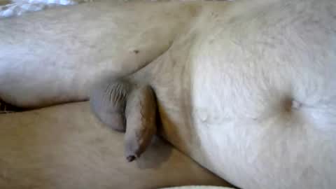 ovid77 online show from September 2025 06:17:01 AM