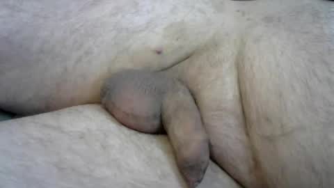 ovid77 online show from October 2025 10:05:01 AM