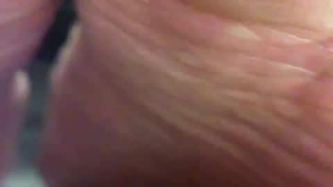 Pablo Meness online show from February 2025 12:40:02 AM