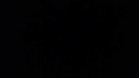 paiperhalliwey online show from February 2025 08:55:01 AM