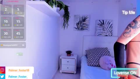 Palmer  online show from March 2025 10:42:01 PM