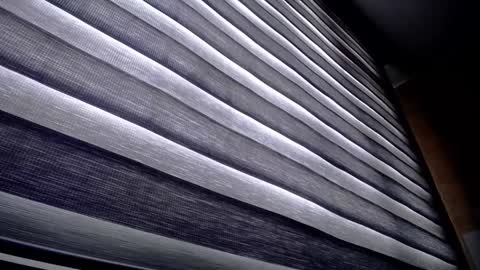 Palmer online show from December 2024 01:24:01 PM