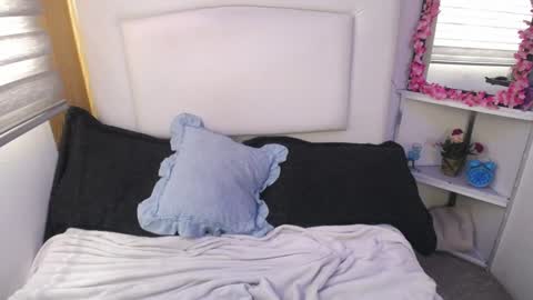 Palmer online show from December 2024 04:20:01 PM